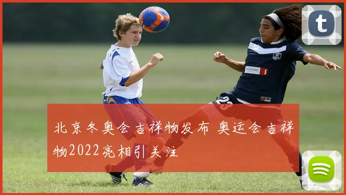 北京冬奥会吉祥物发布 奥运会吉祥物2022亮相引关注