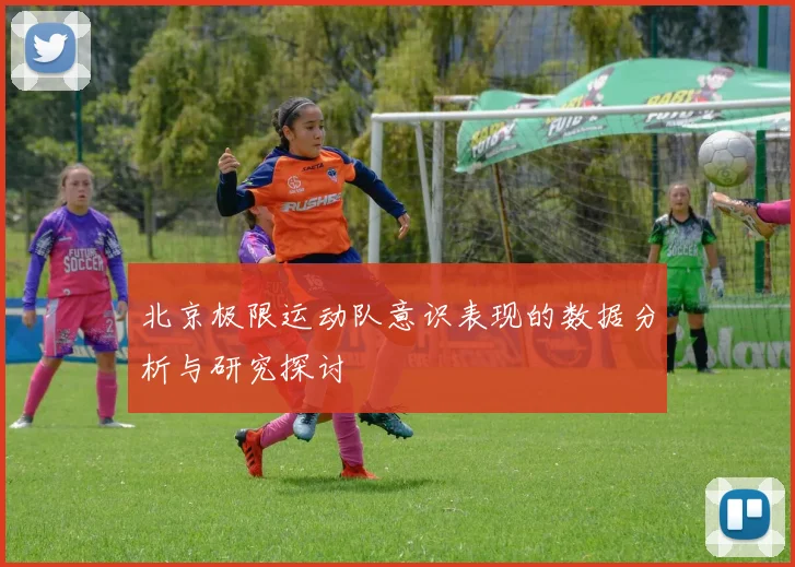北京极限运动队意识表现的数据分析与研究探讨